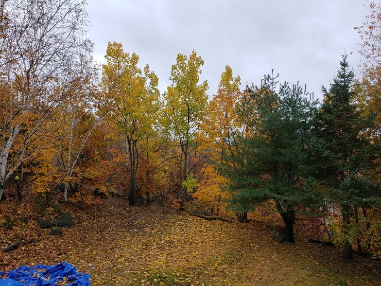 Yard - 25 Pinehurst Rd