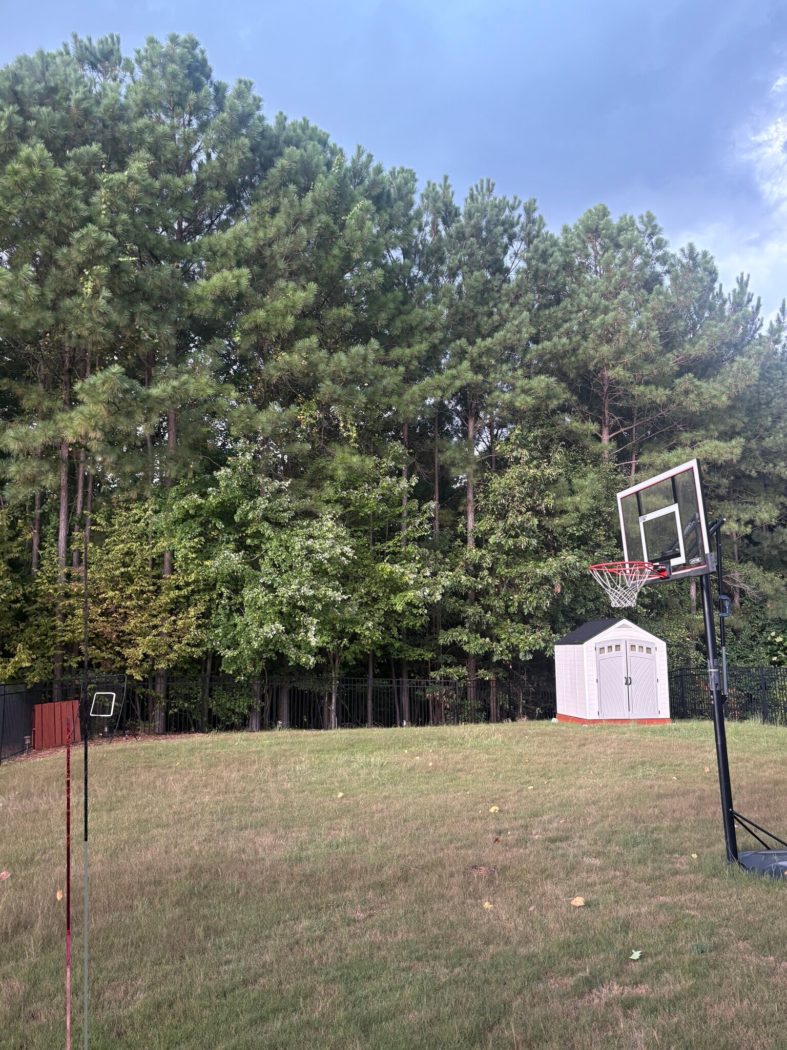 Building Photo - 3565 Massey Ridge Ct