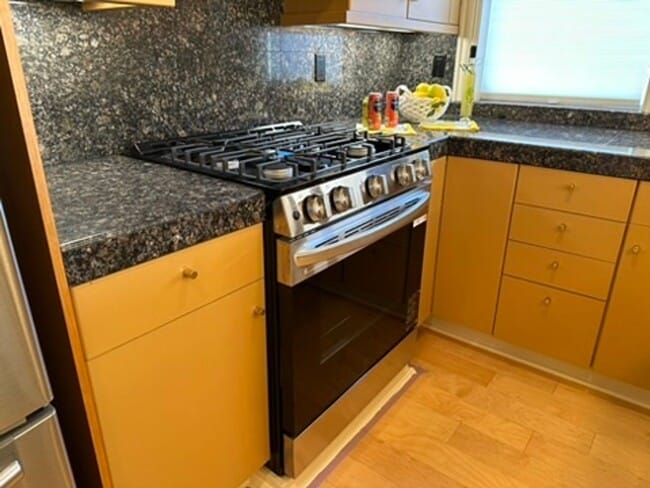 Building Photo - Epic REA- Serene 2 BR/1 BA Flat w/Private Deck & Yard in Lone Mountain