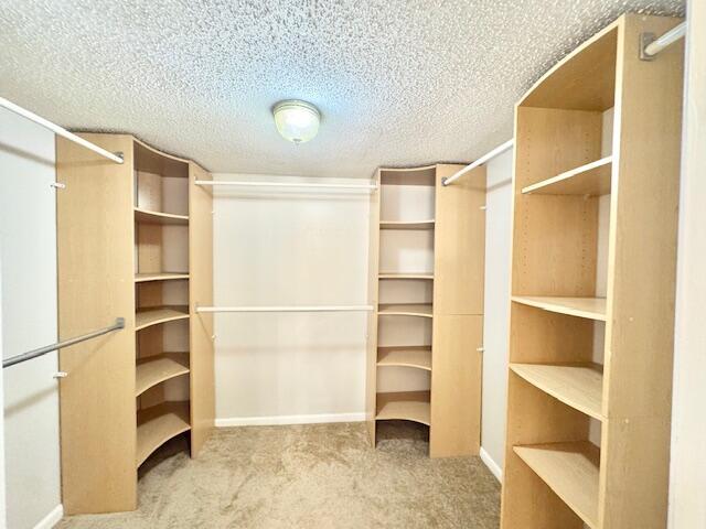Building Photo - 1023 Stephen Dr
