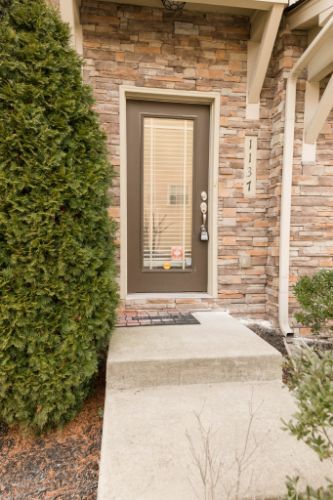 Building Photo - 1137 Woodbury Falls Ct