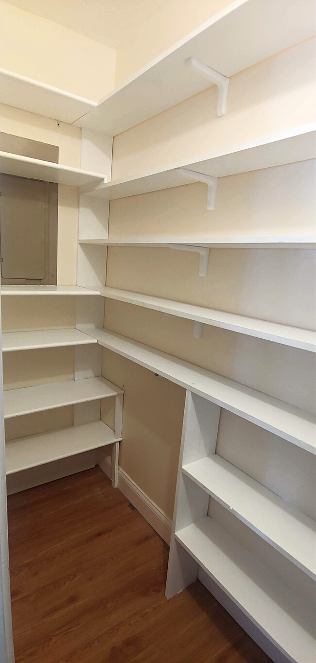 Pantry off living area with built in floor to ceiling shelving - 819 Page St