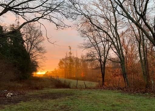 Building Photo - 87 Wood Ln