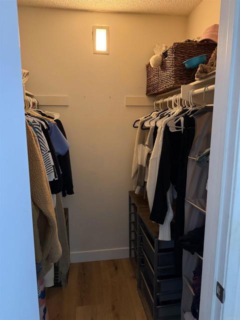 Building Photo - 7704 Caminito Tingo