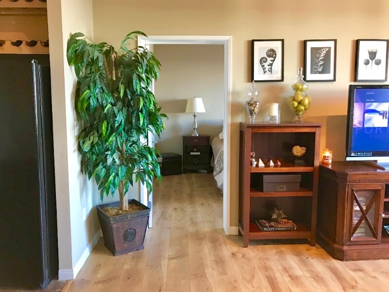 Building Photo - 388 E Ocean Blvd