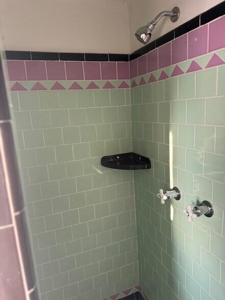 shower - 2203 S Harcourt Ave