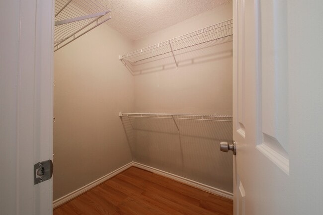 Building Photo - Updated top floor 2br with vaulted ceilings, two balconies and treed views!