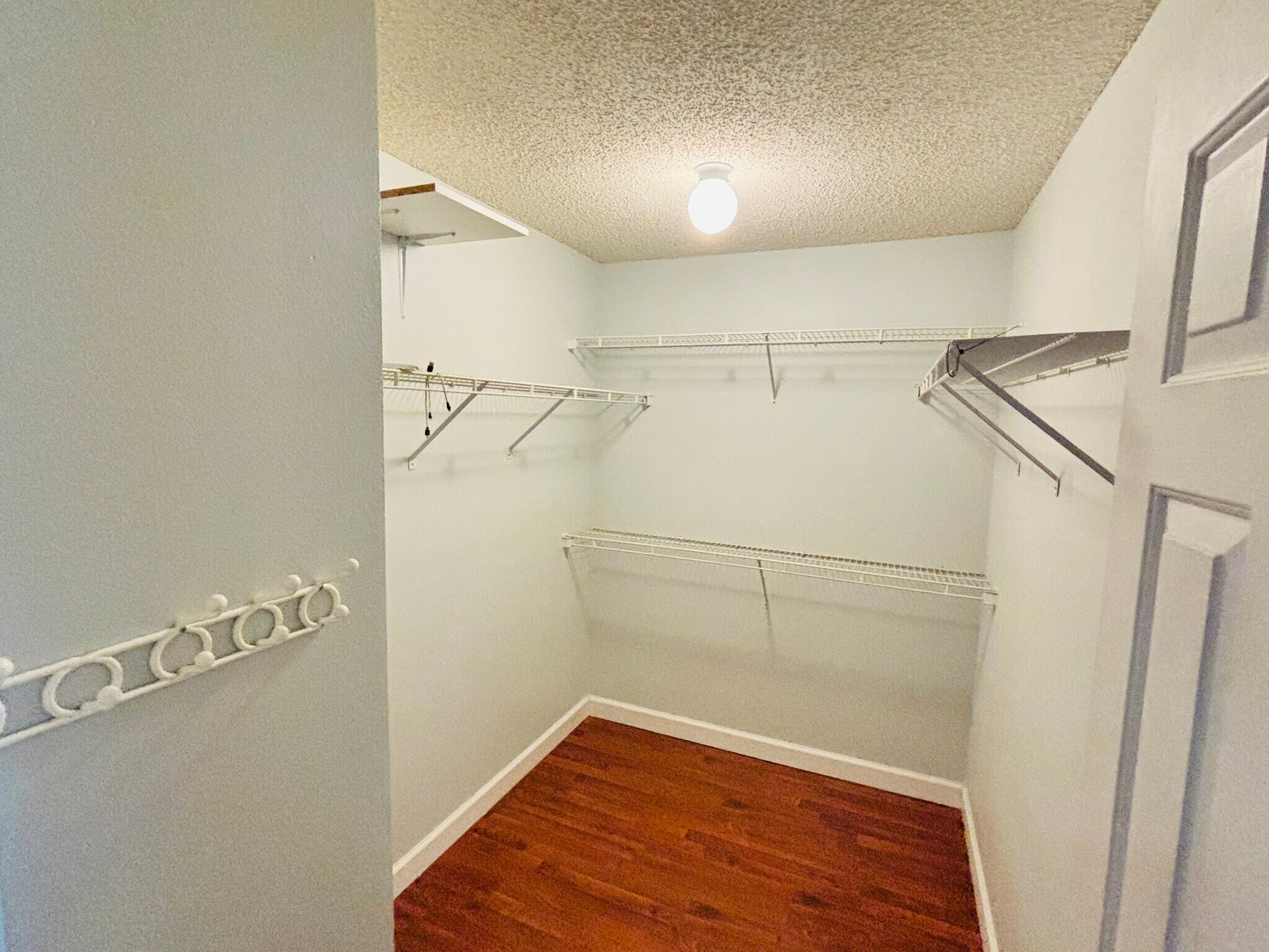 Building Photo - 4813 Fort Lee Ct