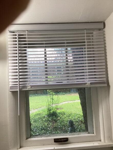 Mini blinds on all 5 windows - 1003 E Hunter Ave
