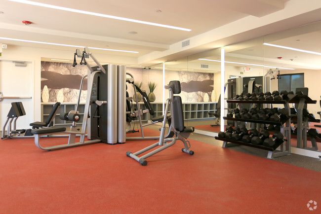 Fitness Center - The Lark