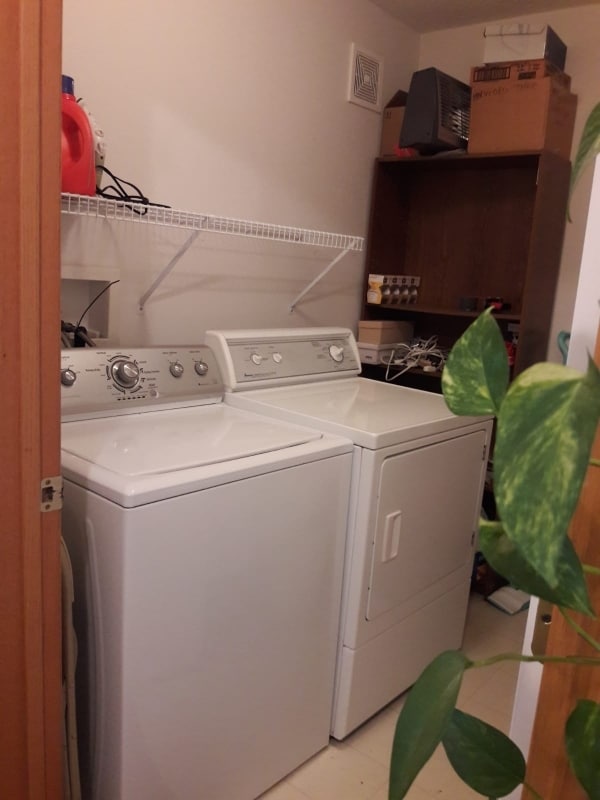 Building Photo - 2187 Cool Stream Cir