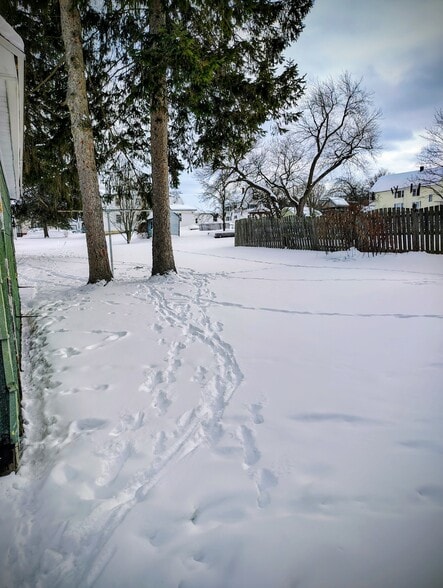 Backyard - 45 Myers Ave