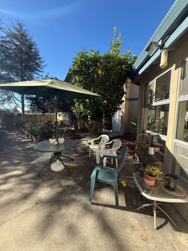 Building Photo - Low income 62+ 1 bedroom at Vista Prieta!