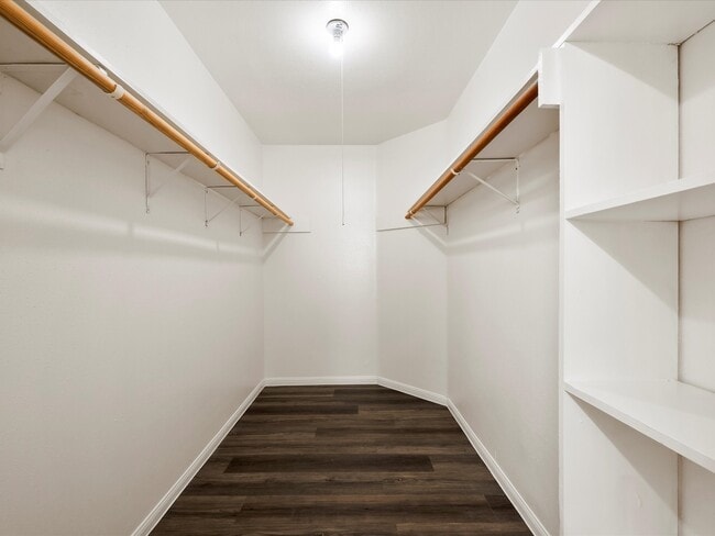 Building Photo - 10506 Twilight Moon Dr