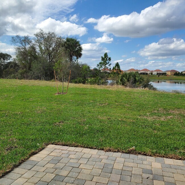 Building Photo - 4 Bedroom House in Soltera Springs