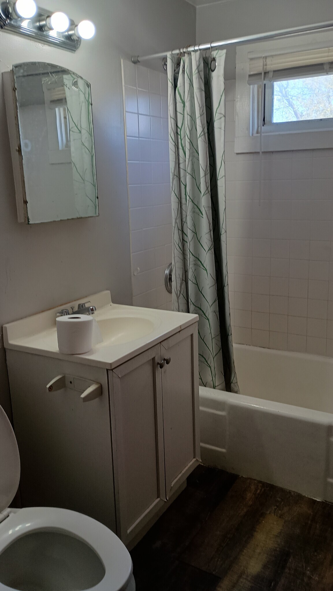 Bathroom - 3683 W 136th St