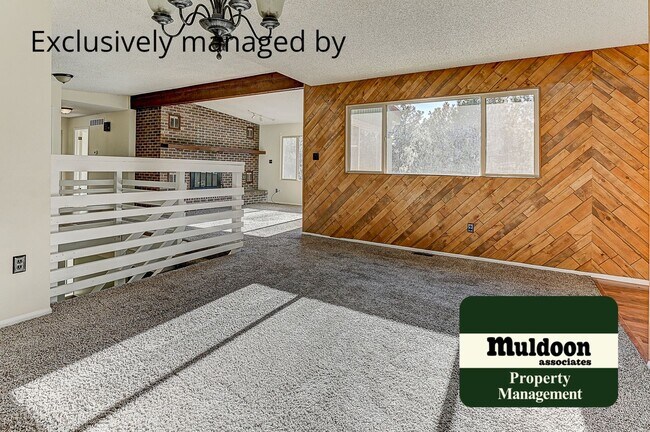 Building Photo - Coming soon, Stunning Black Forest Home!