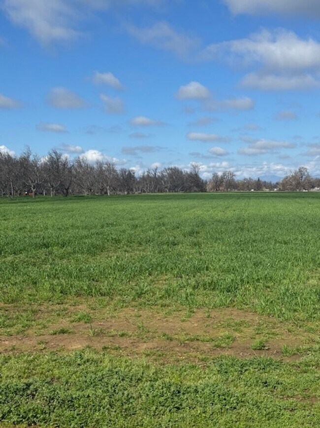 Building Photo - Country Style Living in this Charming Home in Anderson