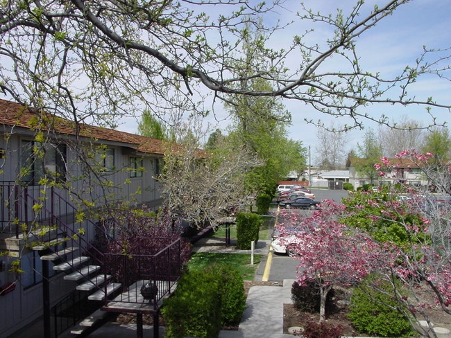 Avalon Court - Avalon Court Apartments