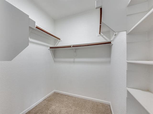 Building Photo - 2209 Highland Villa Ln