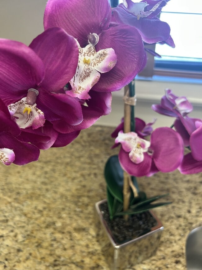 Building Photo - 2252 Southport Ln