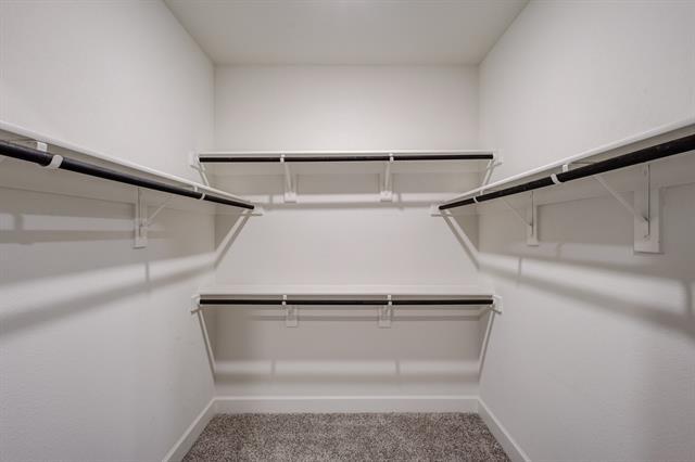 Building Photo - 1816 Jeanine Dr