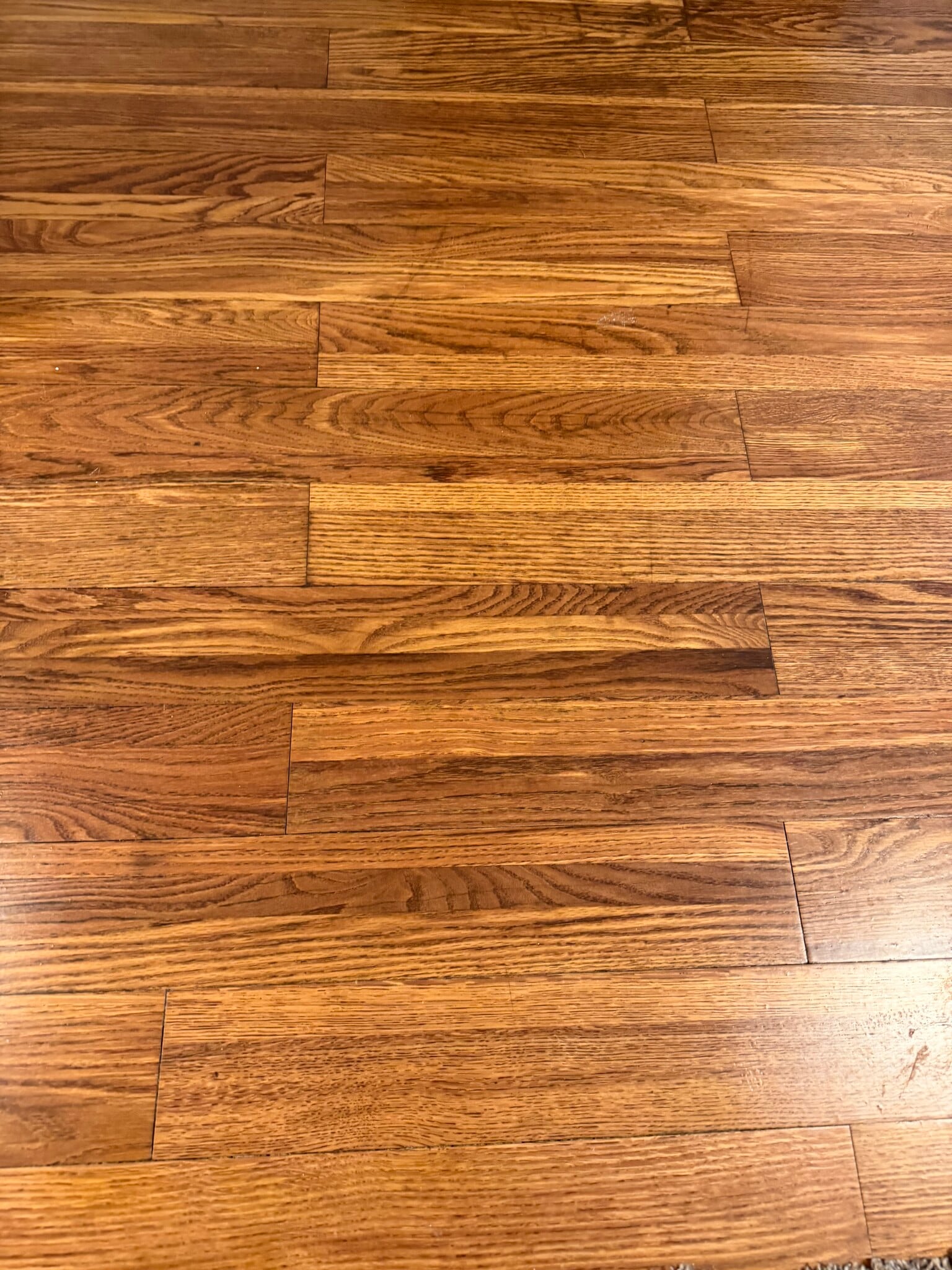 HWF Entryway - 6318 W Grant St