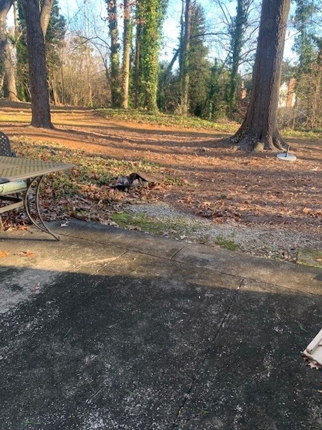 Building Photo - Large 3 Bedroom 2.5 Bath Townhome in Prime Location