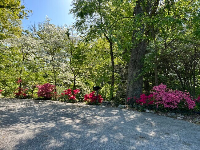 Primary Photo - 2948 Albemarle St NW
