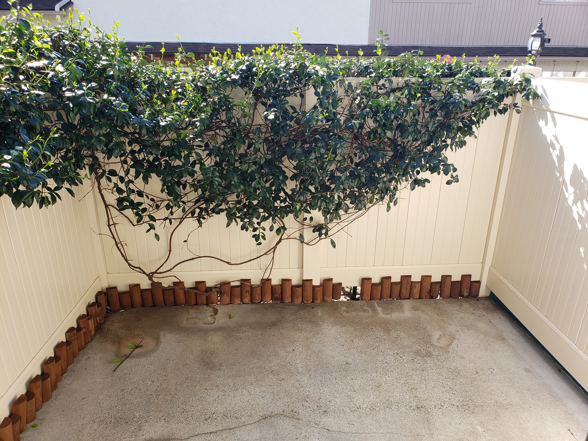 Patio with Vinyl Fencing - 1360 Alessandro Dr