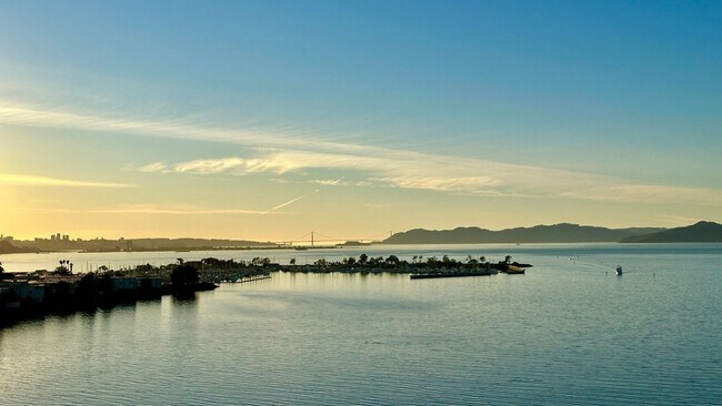 Building Photo - High-Rise Living with Golden Gate + Mt. Ta...