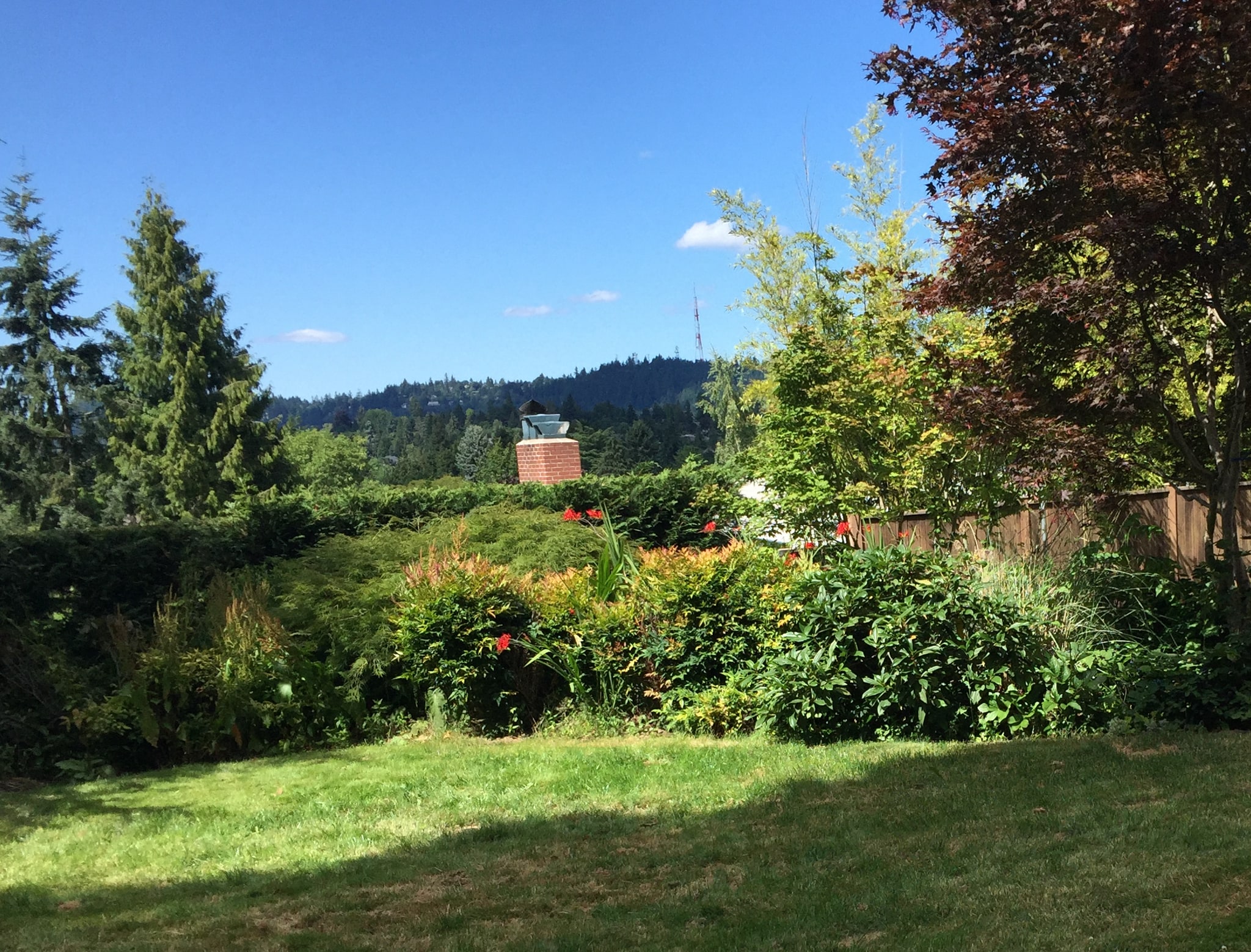 View of West Hills from the backyard. - 9121 SW 35th Ave