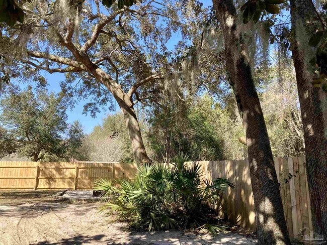 Building Photo - 3146 Live Oak St