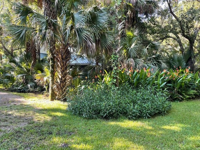 Building Photo - 4502 Wild Turkey Trail