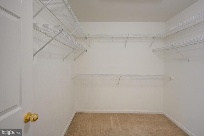 Building Photo - 4624 Kings Mill Way