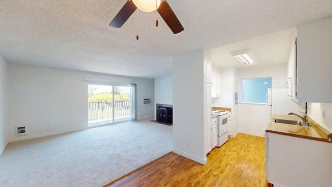 Building Photo - 445 Ignacio Blvd