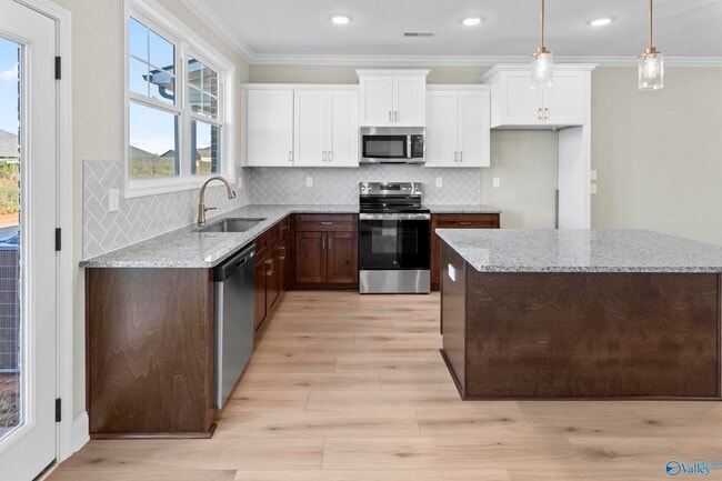 Building Photo - 243 Susan Lynn Dr