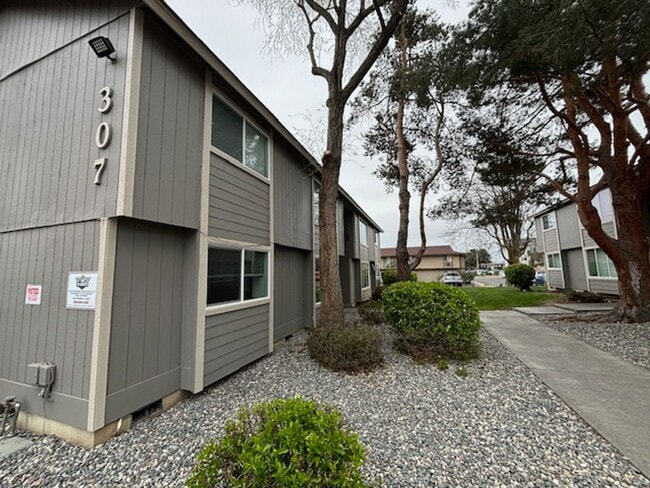 Building Photo - One of the largest 2 bedrooms in the area with 1.5 bathrooms and 1100 square feet plus your own l...