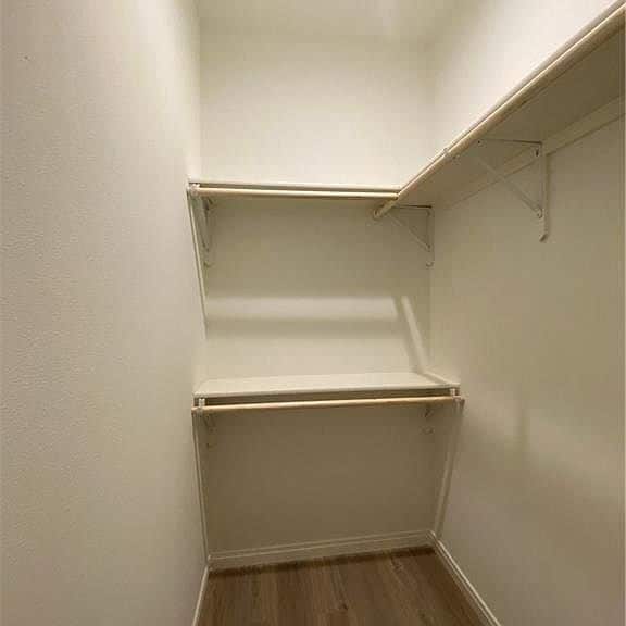 Building Photo - 1406 Lemon Tree Ln