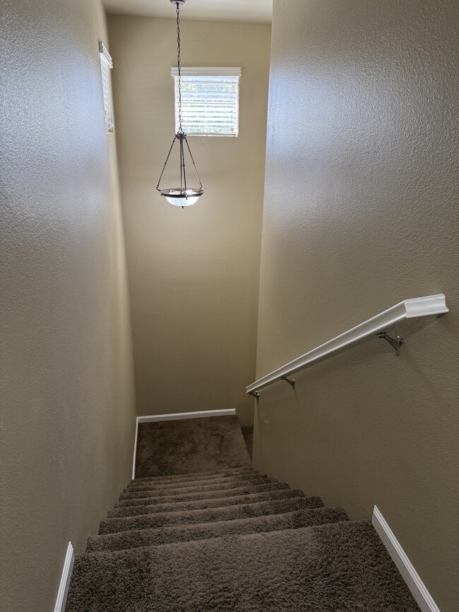 Building Photo - 2810 Orly Ct