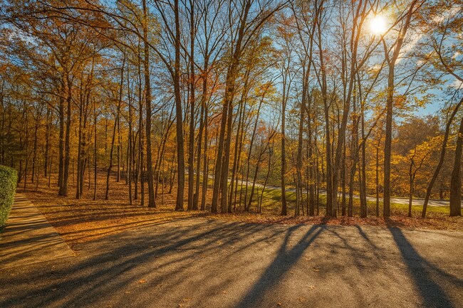 Building Photo - 736 River N Blvd