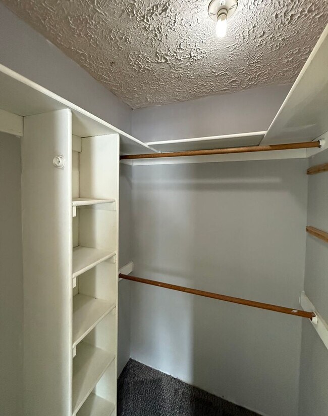 Building Photo - Great East End - 3 Bedroom Home