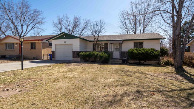 Primary Photo - Updated Rancher in Northeast Colorado Springs