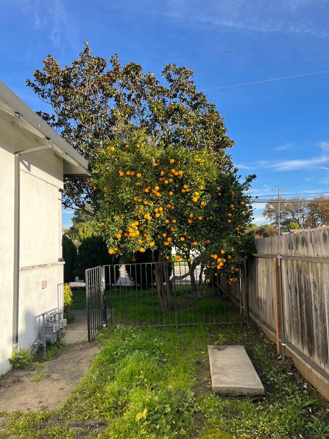 Building Photo - 750 Powell St