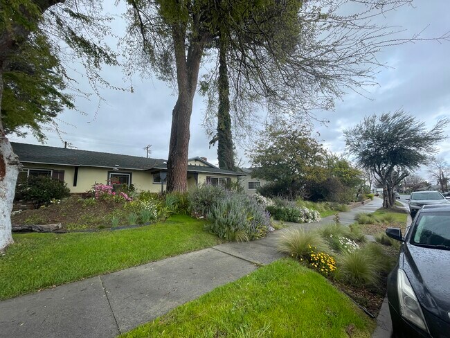 Down the street on a rainy day - 23437 Vanowen St