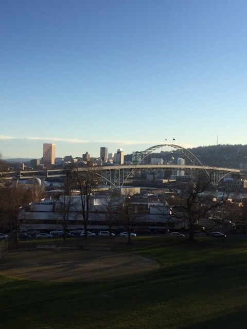 Downtown Views Available - Overlook Park Apartments
