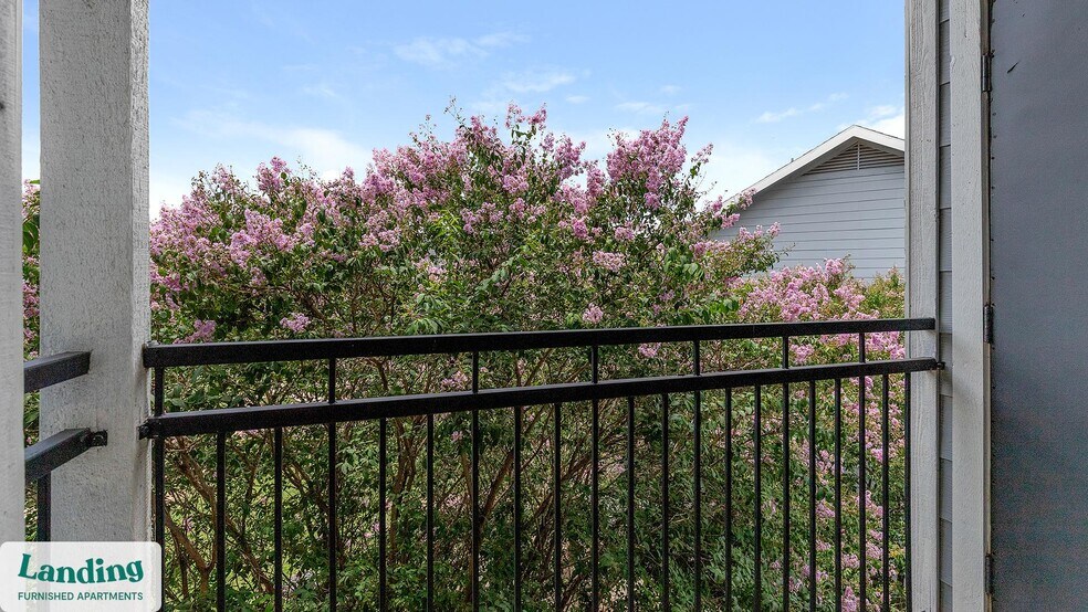 Building Photo - 3379 Timber View Dr