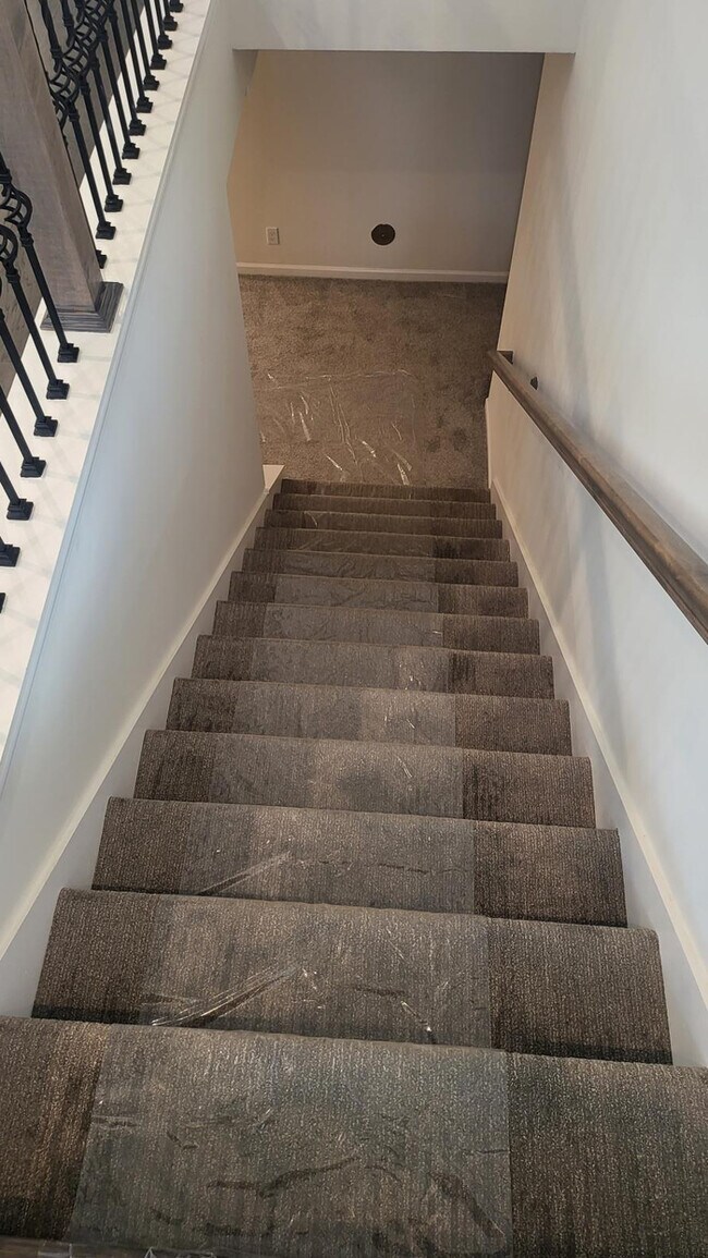 Building Photo - Newly constructed Maintenance provided 3 bed 2.5 bath