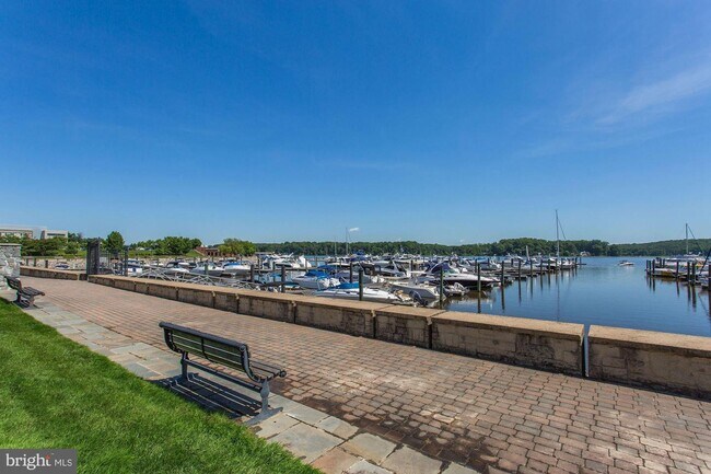 Building Photo - 525 Belmont Bay Dr