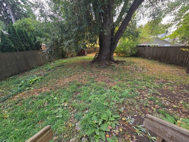 Building Photo - Large Beautiful South Hill Home! Available...